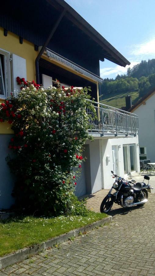 Am Siegelbaechle -2 Mit E-Bikes Vermietung Siegelau Экстерьер фото